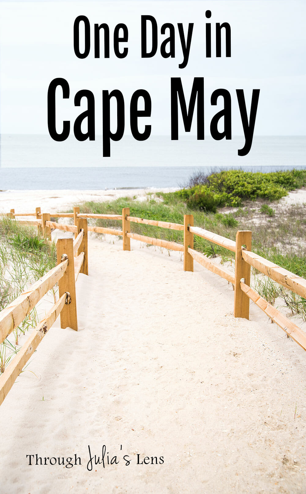 Dog Friendly Cape May New Jersey Dog Friendly Cape May New Jersey